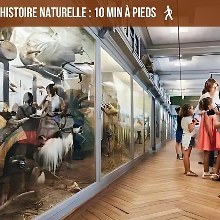 Appartamento La Cabane, Au Calme Proche Du Centre, économique